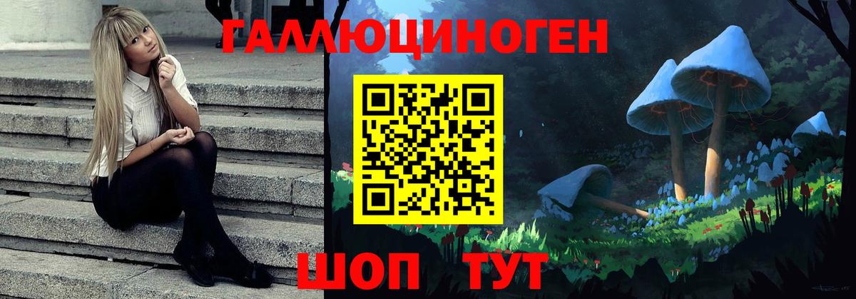 Клин  Псилоцибиновые грибы Magic Shrooms  Галлюциногенные грибы Psilocybine cubensis  Вход с VPN 